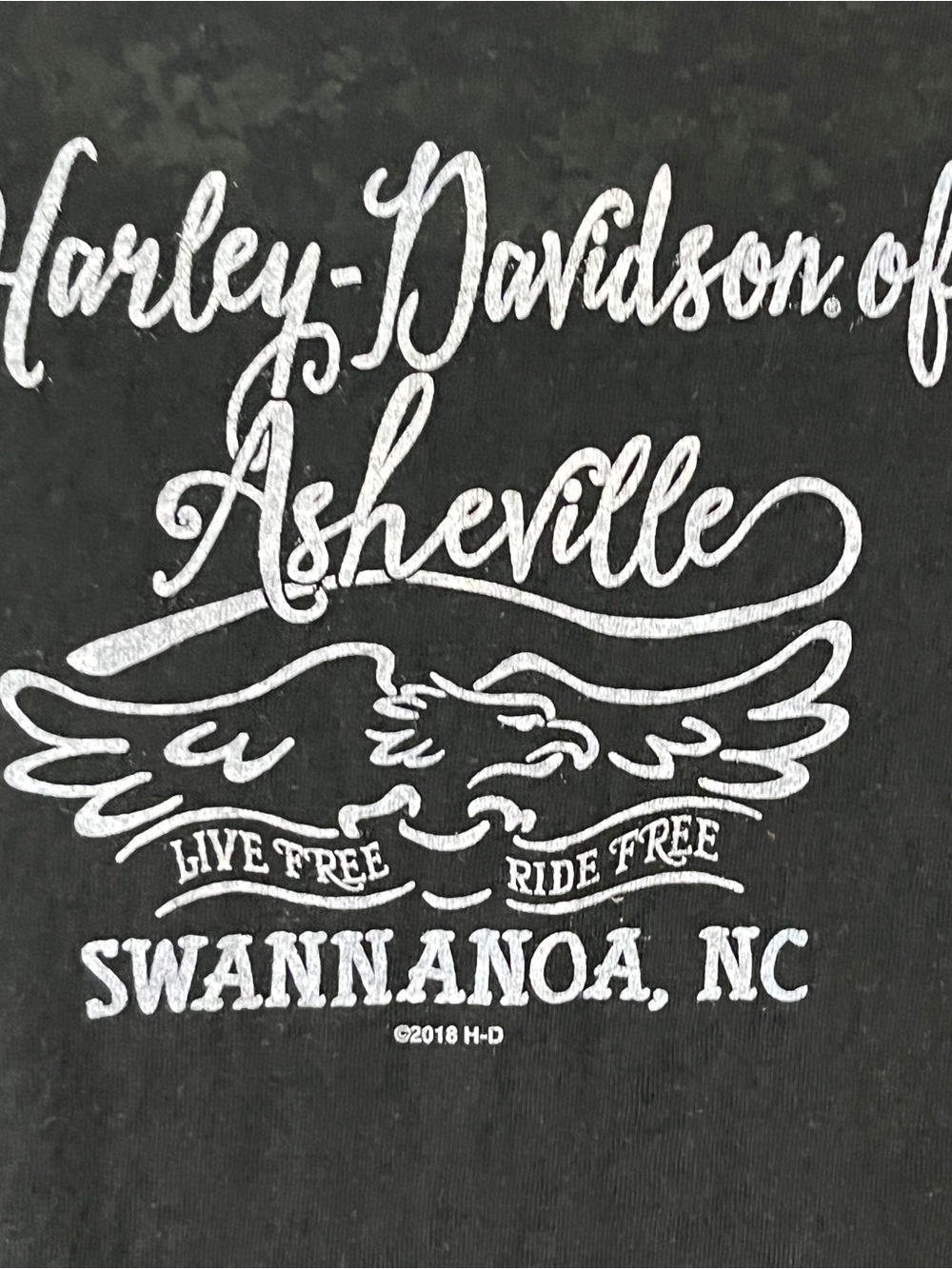 Harley-Davidson Black Tee with Cream Skull Motorcycle Graphic - Picture 5 of 10